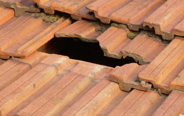 roof repair Collington, Herefordshire
